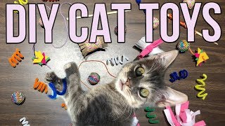 5 Easy Cat Toys Kids Can Make at Home [upl. by Rannug]