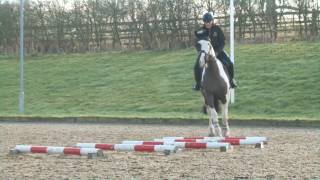 Andrew Hoy Masterclass in Minutes  Trot Poles [upl. by Atoiyanap3]