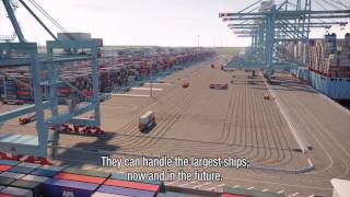 Welcome to APM Terminals Maasvlakte II [upl. by Adi]