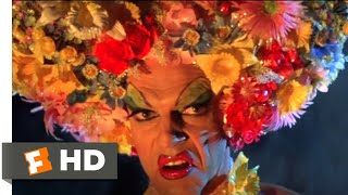 The Adventures of Priscilla Queen of the Desert 1994  I Will Survive Scene 48  Movieclips [upl. by Nohs]