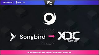 ✨ XDC on Songbird  How To Earn Passive Income ✨  Ēnosys  Part 1 Bridging [upl. by Nordine]