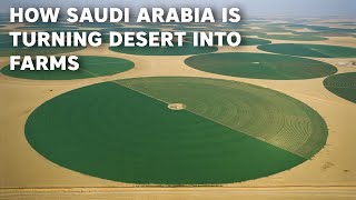 How Saudi Arabia Is Turning Desert into Huge Farmlands [upl. by Abey460]